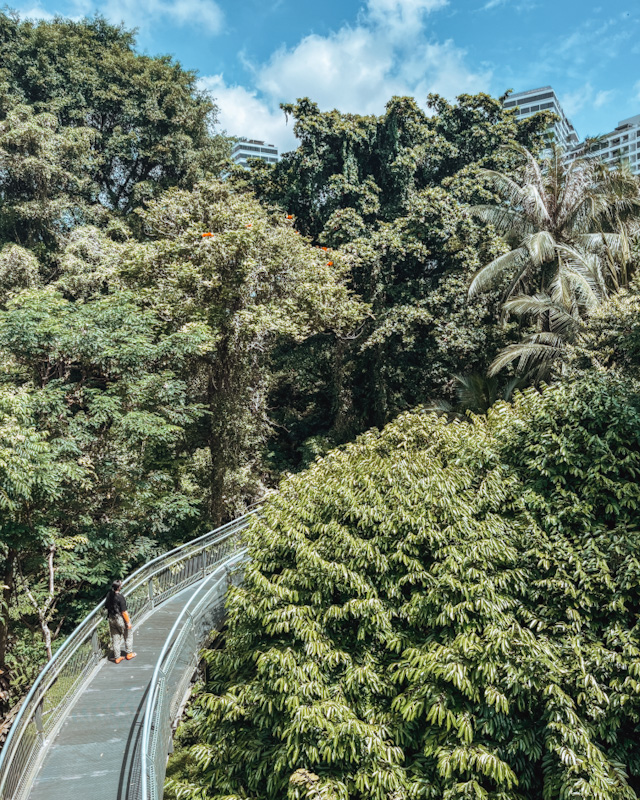Sustainable Travel Made Simple: A Realistic Guide