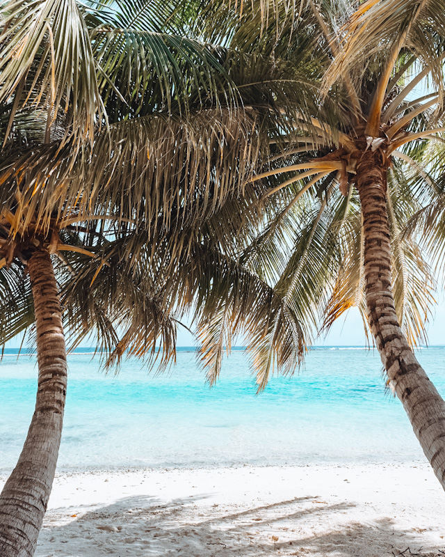 Travel Resources: Everything You Need To Plan Your Trip